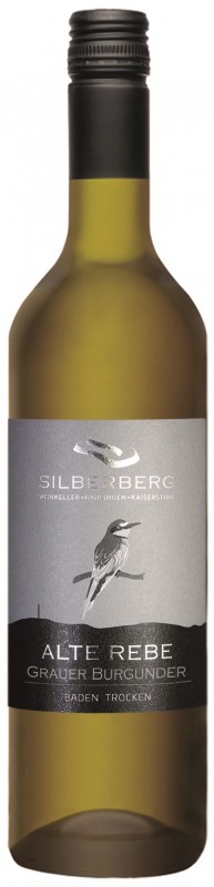 Silberberg Weinkeller Grauer Burgunder „Alte Reben“ Qw Baden trocken