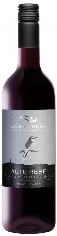 Silberberg Weinkeller Blauer Spätburgunder „Alte Reben“ Rw Baden Qw trocken